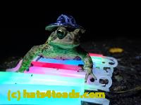 /home//u458753944/public_html/sourcegallery//McKaig Nature Center/2020-10-11/PA110743.JPG